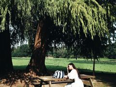 -南宁良凤江国家森林公园