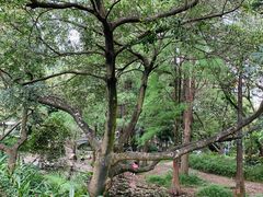 -人民公园(罗湖区)