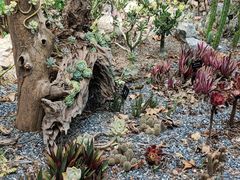 -中国科学院西双版纳热带植物园