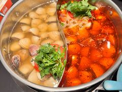 -老城鲜·小海鲜贝贝煲火锅(壹方城店)