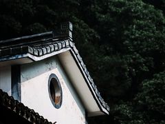 -龙井村