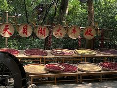-天目湖山水园