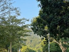 -风云岭森林公园