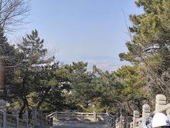 -望溪公园