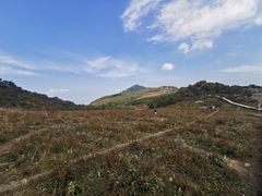 -白草畔自然风景区