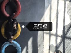 -无锡动物园·太湖欢乐园