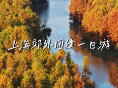 -上海海湾国家森林公园