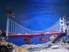 -太平洋海底世界