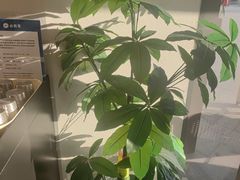 -必胜客(云玺锦庭店)