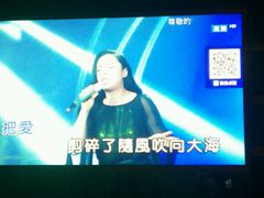 -满天星量贩式KTV(汉阳摩尔城店)