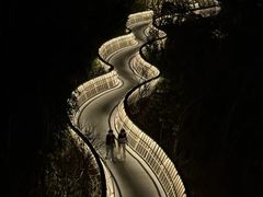 -福道