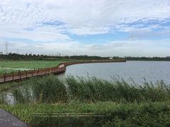 -天津东丽湖风景区