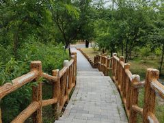 -白水寺森林公园