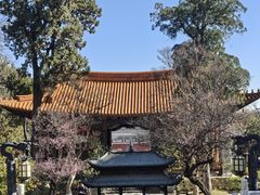 -大理文庙(大理古城)