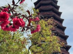 -北京雁栖湖国际会展中心