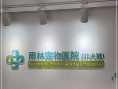 -雨林宠物医院 非犬猫异宠专科