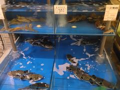 -大唐名家·息壤店