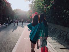 -仙岳公园