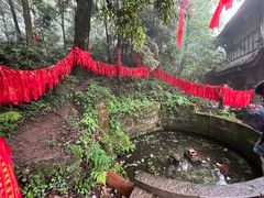 -青城山