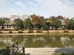 -上海海湾国家森林公园