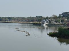 -海珠湖公园