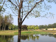 -东郊湿地公园