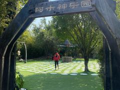 -森波拉火山温泉