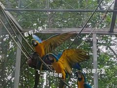-东莞香市动物园
