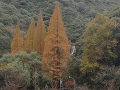 -天明山温泉大酒店