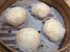 &nbsp;鲜虾饺-添好运点心专门店(北角店)