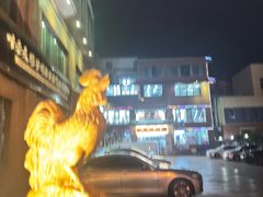 -叶老大阳朗辣子鸡(息烽店)