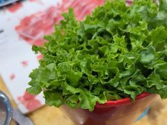 生菜-清真军邺·金富苑肥牛(石坡街旗舰店)
