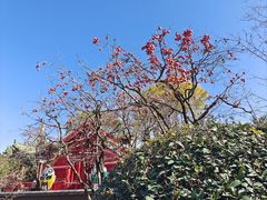 -华清宫景区