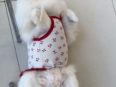 -怪兽屋·羊驼·猫咖·狗咖(俊华广场店)