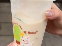 -猫的魔法密林(衣裳街店)