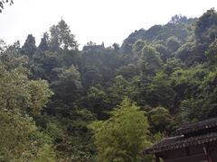 -花岩国家森林公园