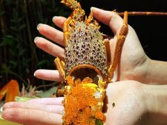 -万岛日本料理铁板烧(万象城店)