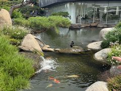 -罗红摄影艺术馆