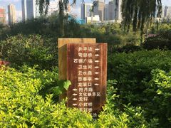-洛龙公园