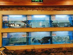 -围龙屋客家食府(福田店)