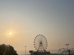 -奉贤海滩