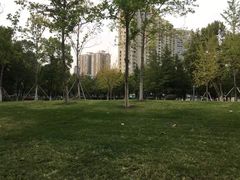 -西北湖绿化广场
