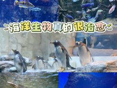 -华夏文旅西安度假区