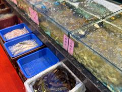 -新金盛·海鲜酒楼(盐田店)
