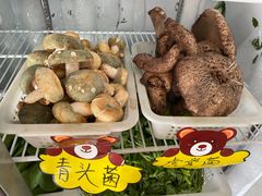 -菌之家·专业纯野生菌火锅·特色炒菌
