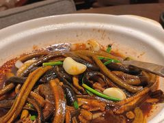 淮扬炒软兜-扬州狮子楼·非遗淮扬菜(总店)
