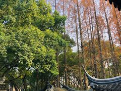 -上海醉白池公园