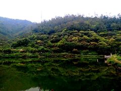 -东莞市大岭山森林公园