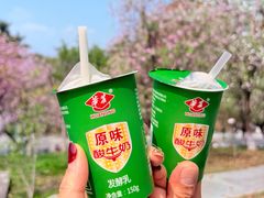 -华农酸奶文化馆