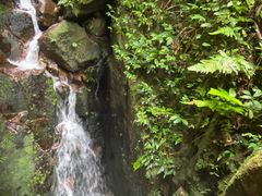 -海南热带雨林国家公园吊罗山景区